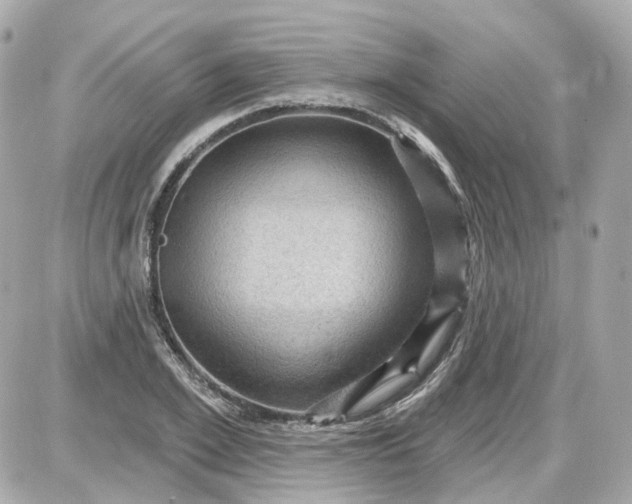 X0000087590981200705112259