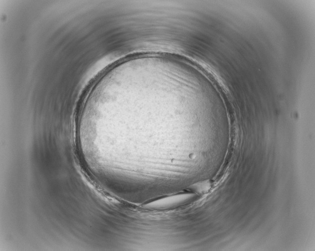 X0000087590982200705112259