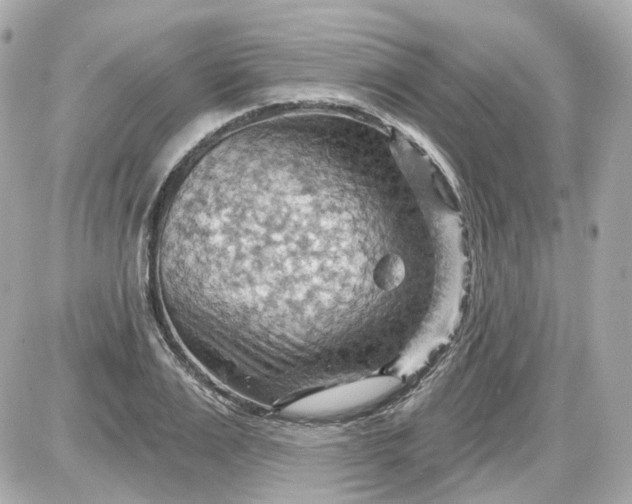 X0000087590983200705112259