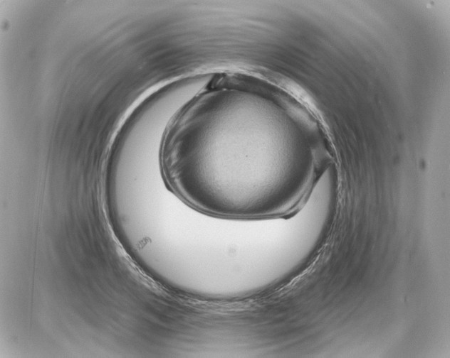 X0000087590984200705112259