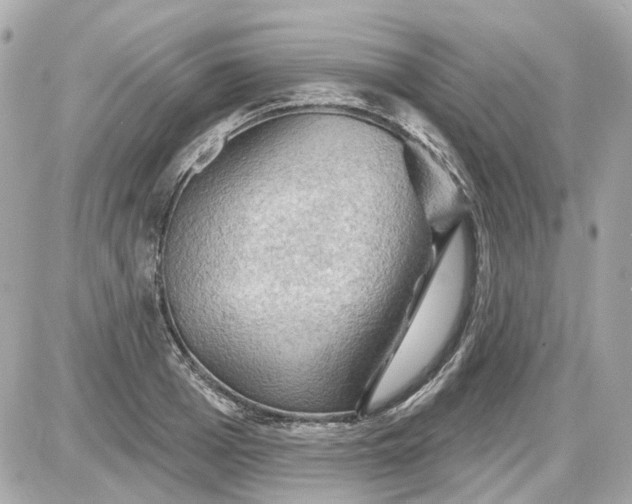 X0000087590985200705112259