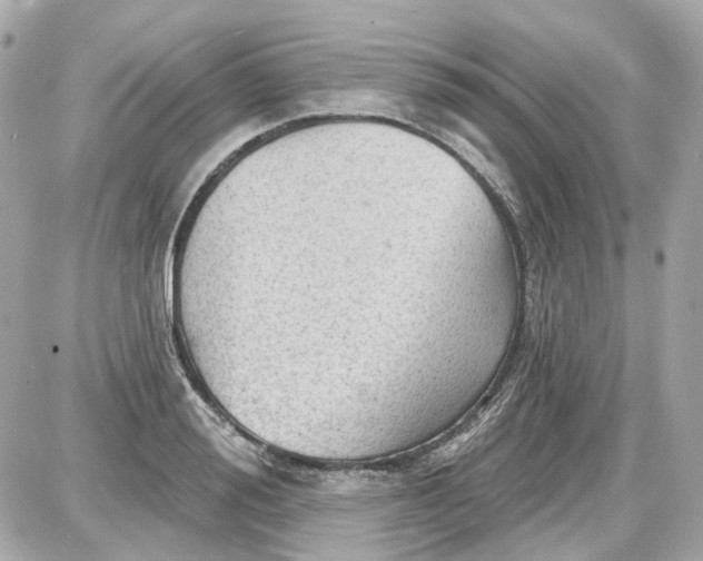 X0000087590988200705112259