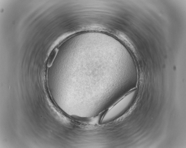 X0000087590989200705112259