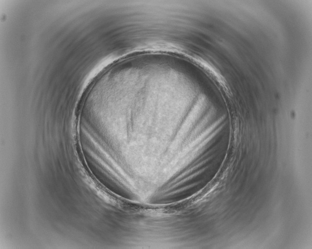 X0000087590990200705112259