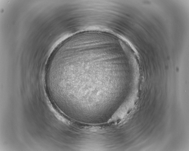 X0000087590991200705112259