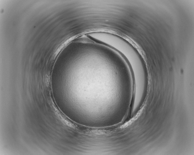 X0000087590993200705112259