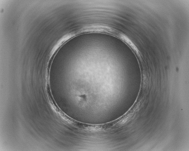 X0000087590994200705112258