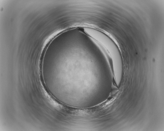 X0000087590995200705112258