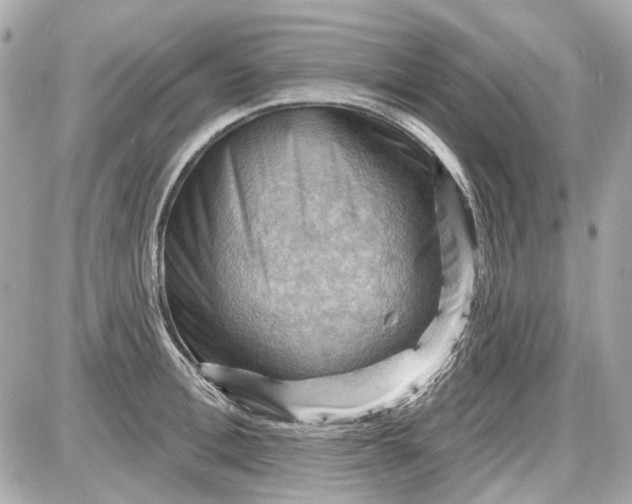 X0000087590996200705112258