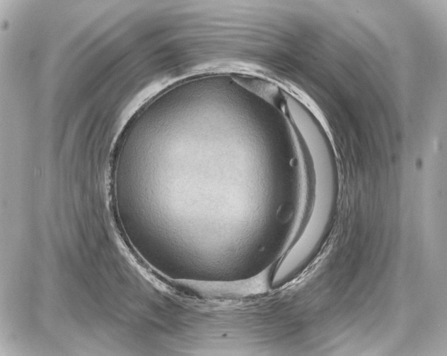 X0000087590997200705112258