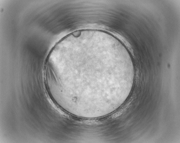 X0000087590998200705112258