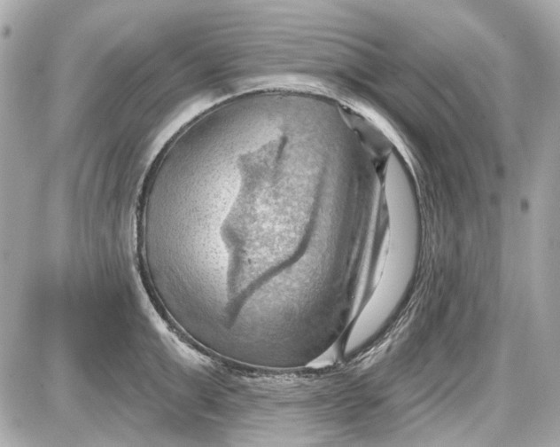 X0000087590999200705112258