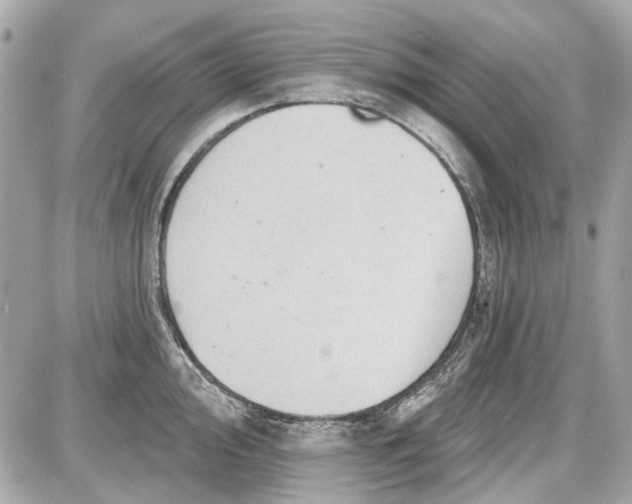 X0000087591000200705112258