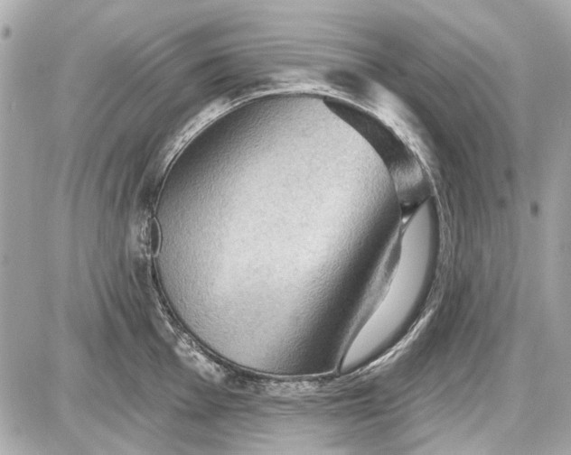 X0000087591001200705112258