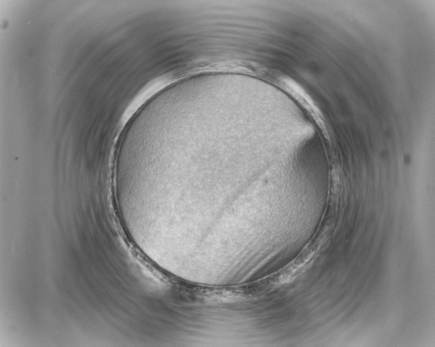 X0000087591002200705112258