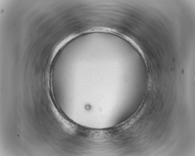 X0000087591003200705112258