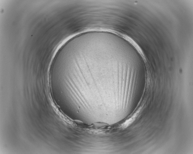 X0000087591004200705112258