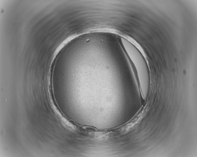 X0000087591005200705112258