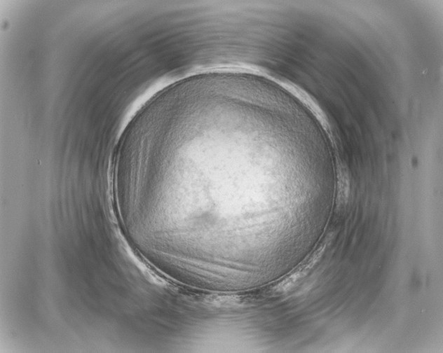 X0000087591006200705112258