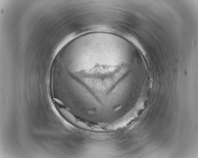 X0000087591007200705112258