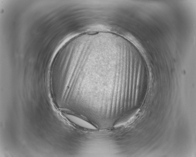 X0000087591008200705112258