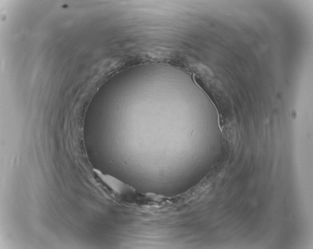 X0000087591009200705112257