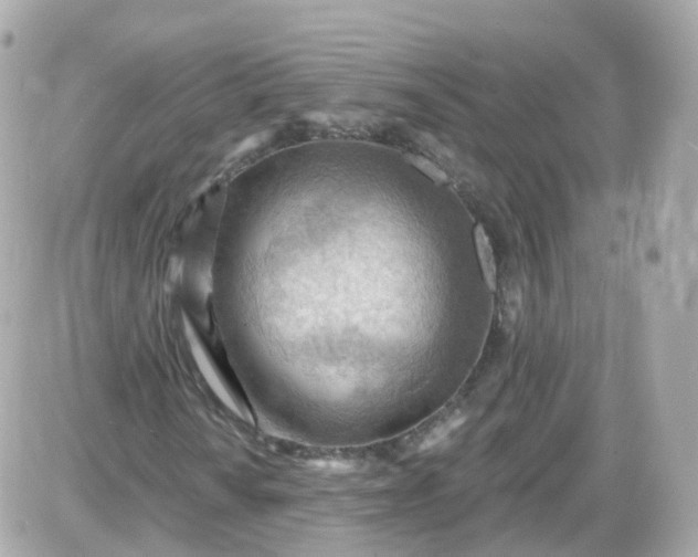 X0000087591010200705112257