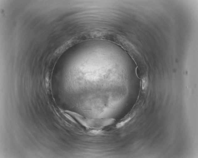 X0000087591011200705112258