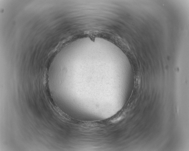 X0000087591012200705112258