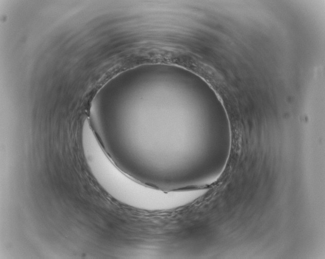 X0000087591013200705112258