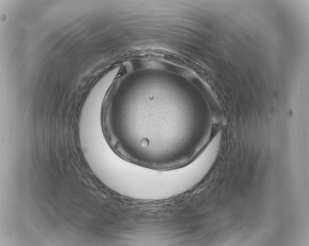 X0000087591014200705112258