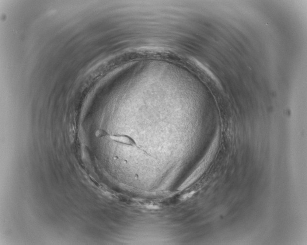 X0000087591015200705112258