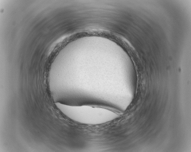 X0000087591016200705112258