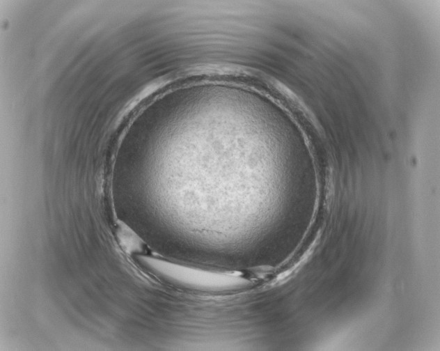 X0000087591017200705112258