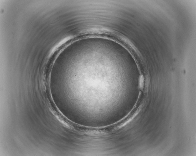 X0000087591018200705112258