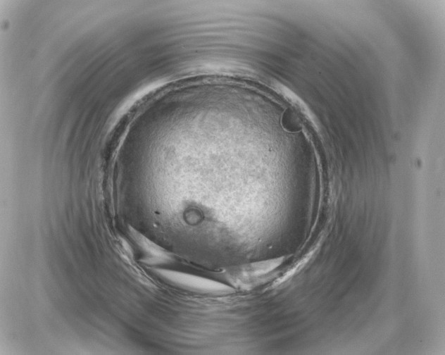 X0000087591019200705112258