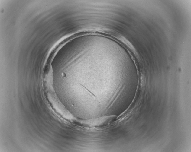 X0000087591020200705112258