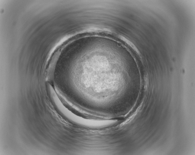 X0000087591021200705112258