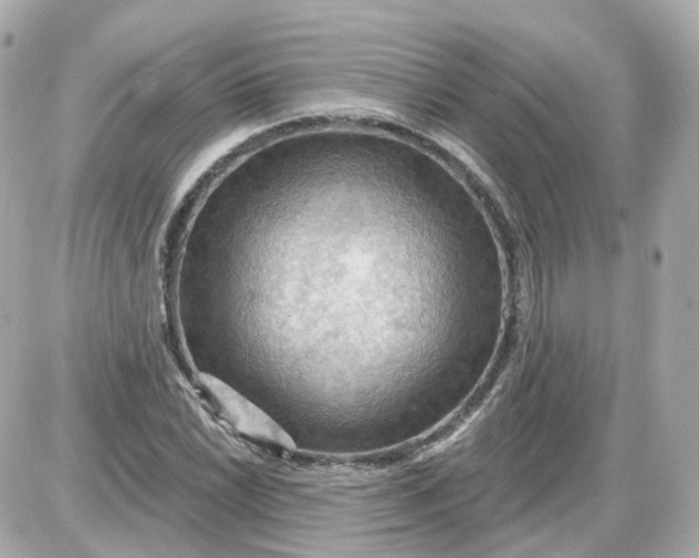 X0000087591022200705112258