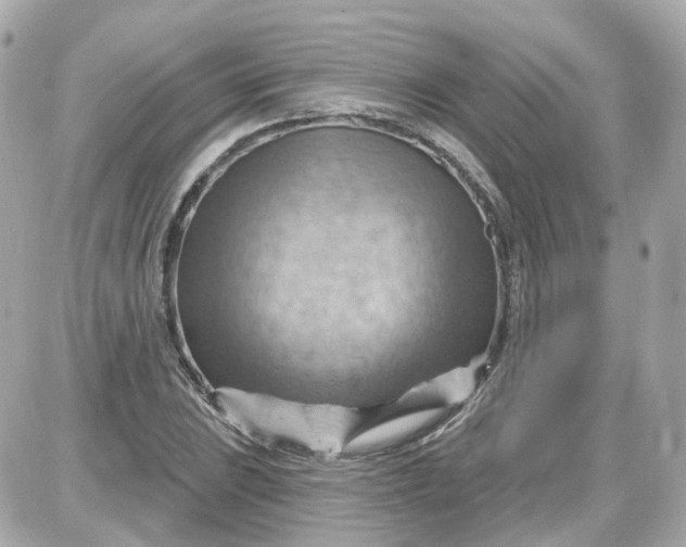 X0000087591023200705112258