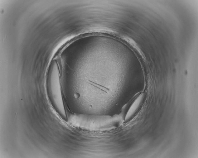 X0000087591024200705112258