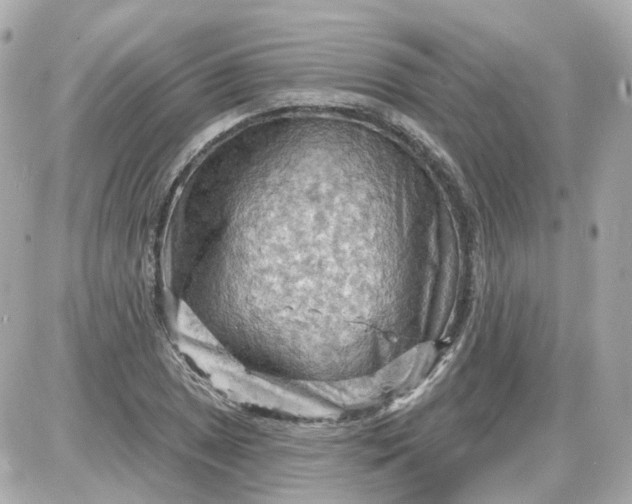 X0000087591025200705112258