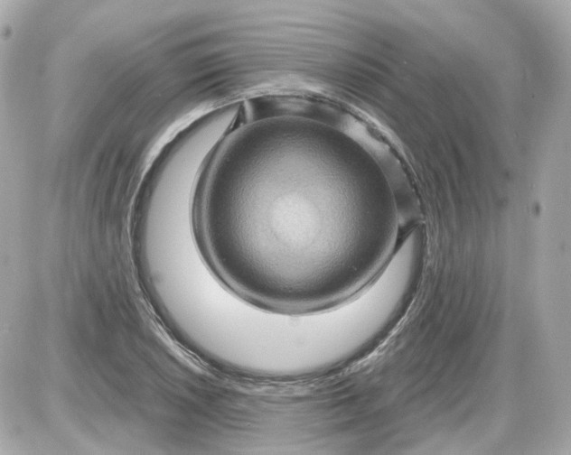 X0000087591026200705112258