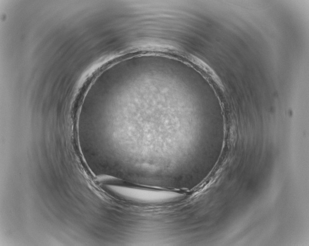 X0000087591027200705112258