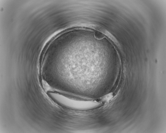 X0000087591028200705112258