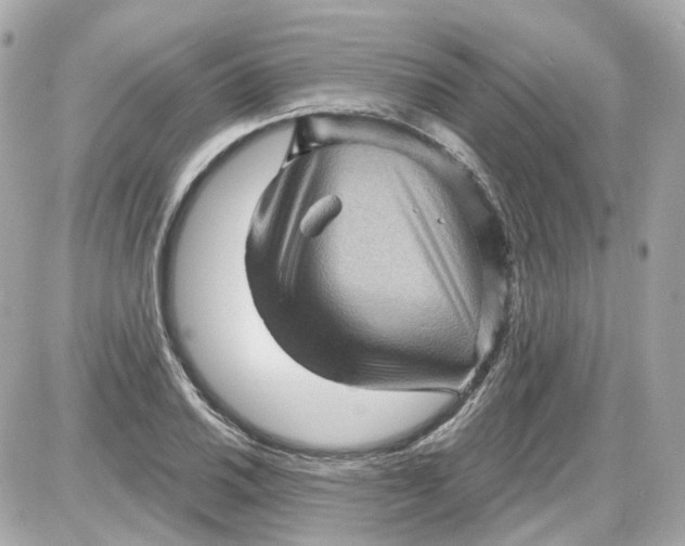 X0000087591030200705112258