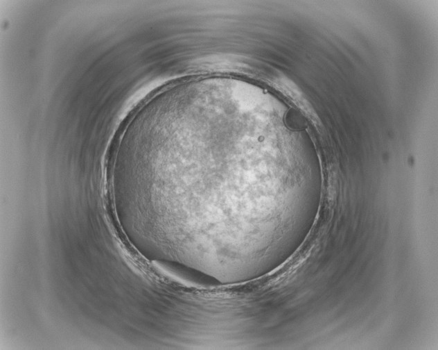 X0000087591031200705112258