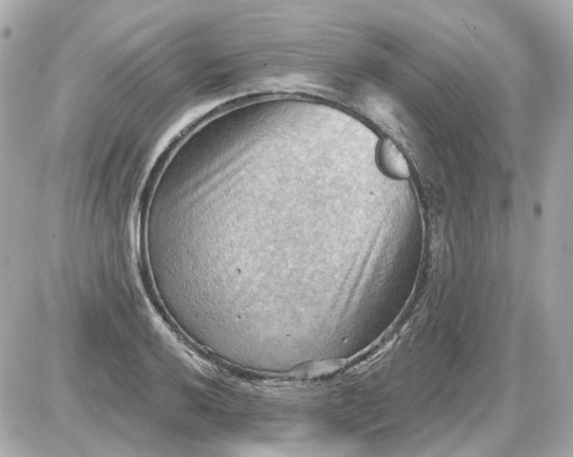 X0000087591032200705112258