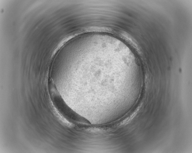 X0000087591033200705112258