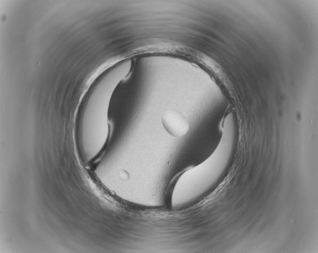 X0000087591034200705112258